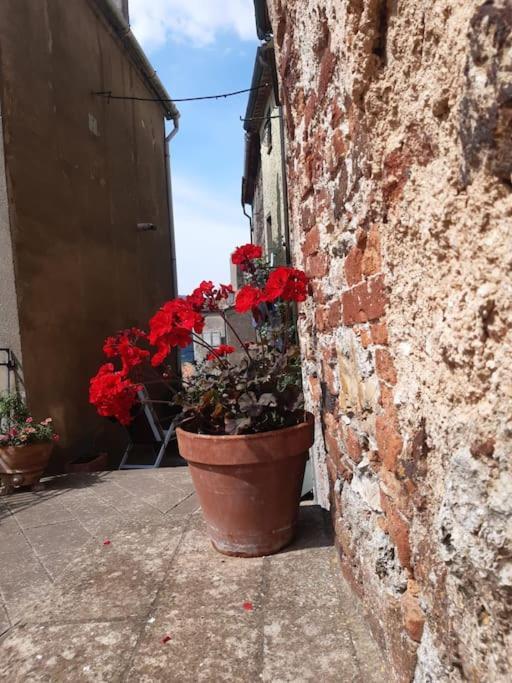 Villa Casa Il Girasole Boccheggiano Exterior foto